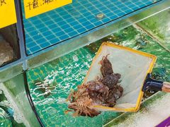 -坛南湾阿强农家乐.海鲜大排档老字号(福州地标美食店)