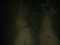 -观唐（国际）度假村温泉