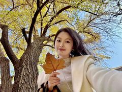 -天朝元辅-徐州民俗博物馆
