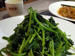 -新渝城·始于2000年(淘金店)