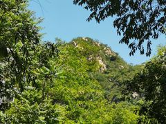 -大岭沟猕猴桃谷风景区