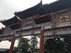 -茶大椰·椰子茶(星悦荟店)