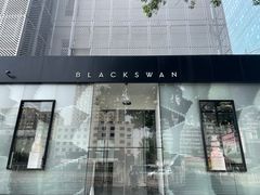 -BLACKSWAN黑天鹅(环球店)