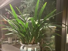 -花锦堂·隐庐