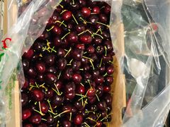 -上海龙吴水胜海发市场