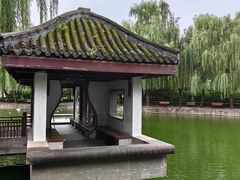-团结湖公园