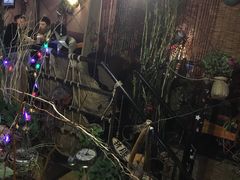 -树洞桌游宠咖小酒馆