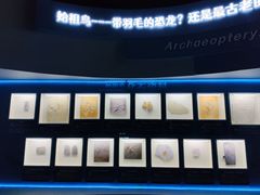 -辽宁古生物博物馆