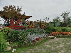 -上海长兴岛郊野公园