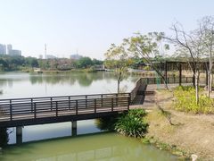 -王借岗森林公园
