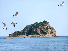 -棒棰岛宾馆景区