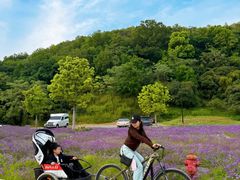 -南北湖风景区