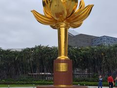 -金莲花广场