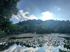-野象谷景区