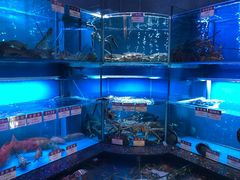 水产区-协成海鲜火锅(海洋花园店)