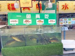 -新疆风味冷水鱼庄(友谊峰路店)