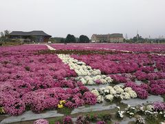 -中国天府农业博览园