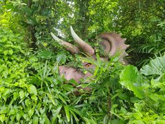 -海南热带野生动植物园