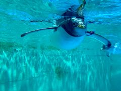 -威海华夏城景区