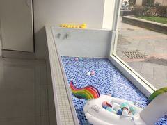 -BABYDOG宝贝狗宠物乐园(欧洲城店)