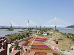 -芒洲湿地公园