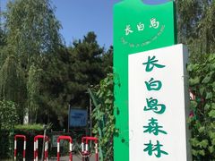 -长白岛森林公园