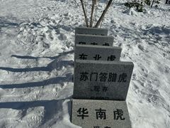 -横道河子东北虎林园