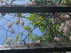 -九龙潭景区