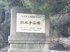 -白水寺森林公园