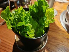 -九田家黑牛烤肉料理(新辰里亚运村店)