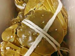 -黄记大闸蟹专卖店·活蟹·醉蟹
