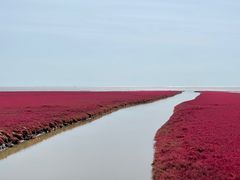 -红海滩国家风景廊道