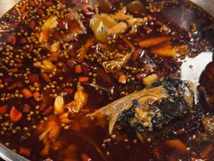 -味之绝热血美蛙鱼火锅(中坝店)