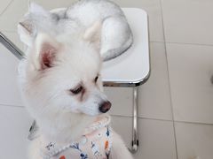 -怪兽屋·羊驼·猫咖·狗咖(俊华广场店)