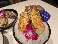 -海月轩海鲜豆捞(紫金塔店)
