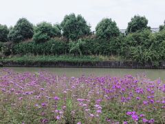 -菊园百果园