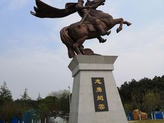 -铁山坪森林公园