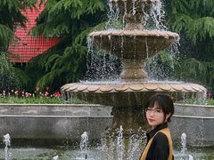 -洛阳郁金香牡丹园