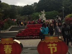 -金鸡山公园