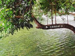 -荔湾湖公园