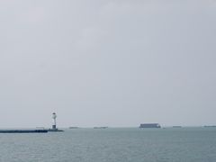 -上海滨江森林公园