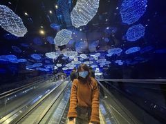 -盒马X会员店(上海森兰商都店)