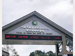 -中国大熊猫保护研究中心雅安碧峰峡基地