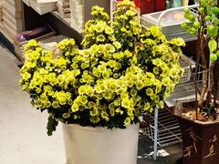 -方庄书店(通润商务会馆店)