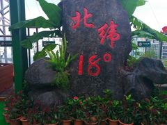 -呀诺达热带雨林