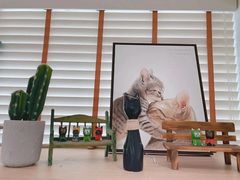 -猫小主咖啡·猫咖cat cafe(福田店)
