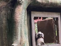 -广州长隆野生动物世界