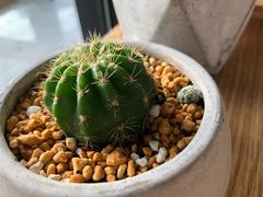 -蜜蜂小象·榴莲千层蛋糕(时代汇11栋店)