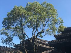 -韩湘水博园