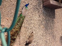 华夏国际影城(鲁广店)-武汉华夏国际影城(鲁广店)